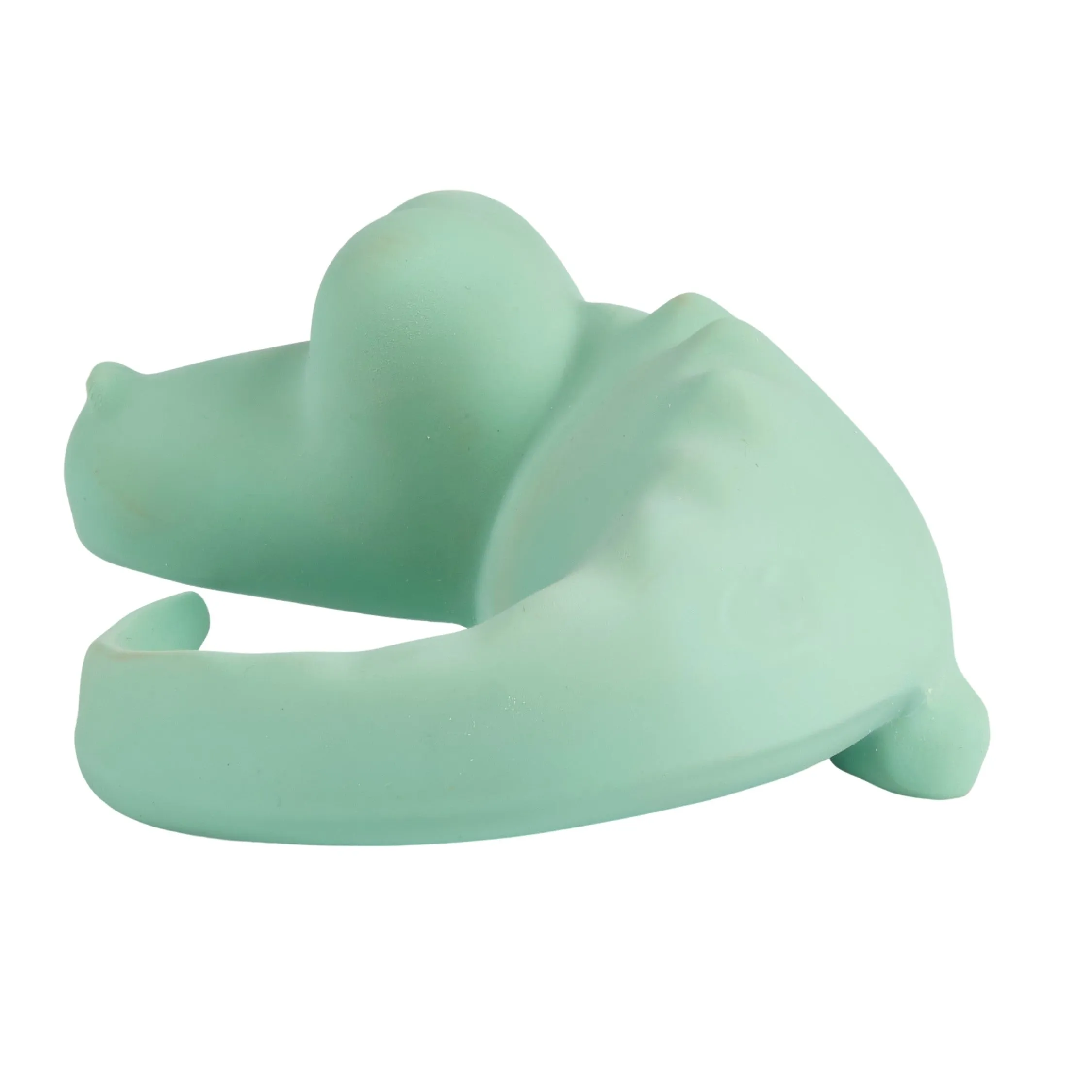 Crocodile - Organic Baby Teether Rattle & Bath Toy