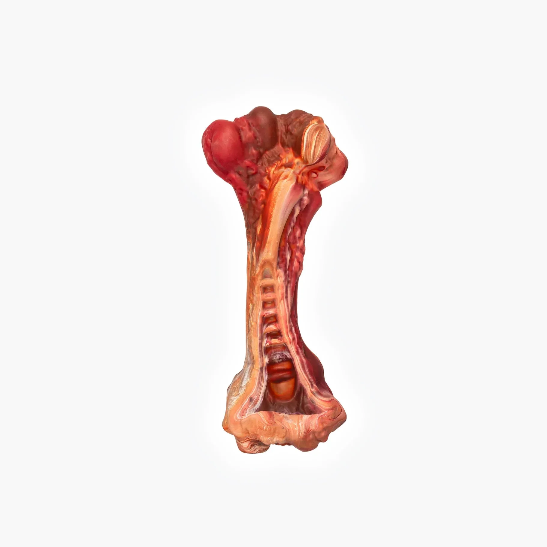 EzyDog Ezy Bones Beef Infused Dog Toy Large