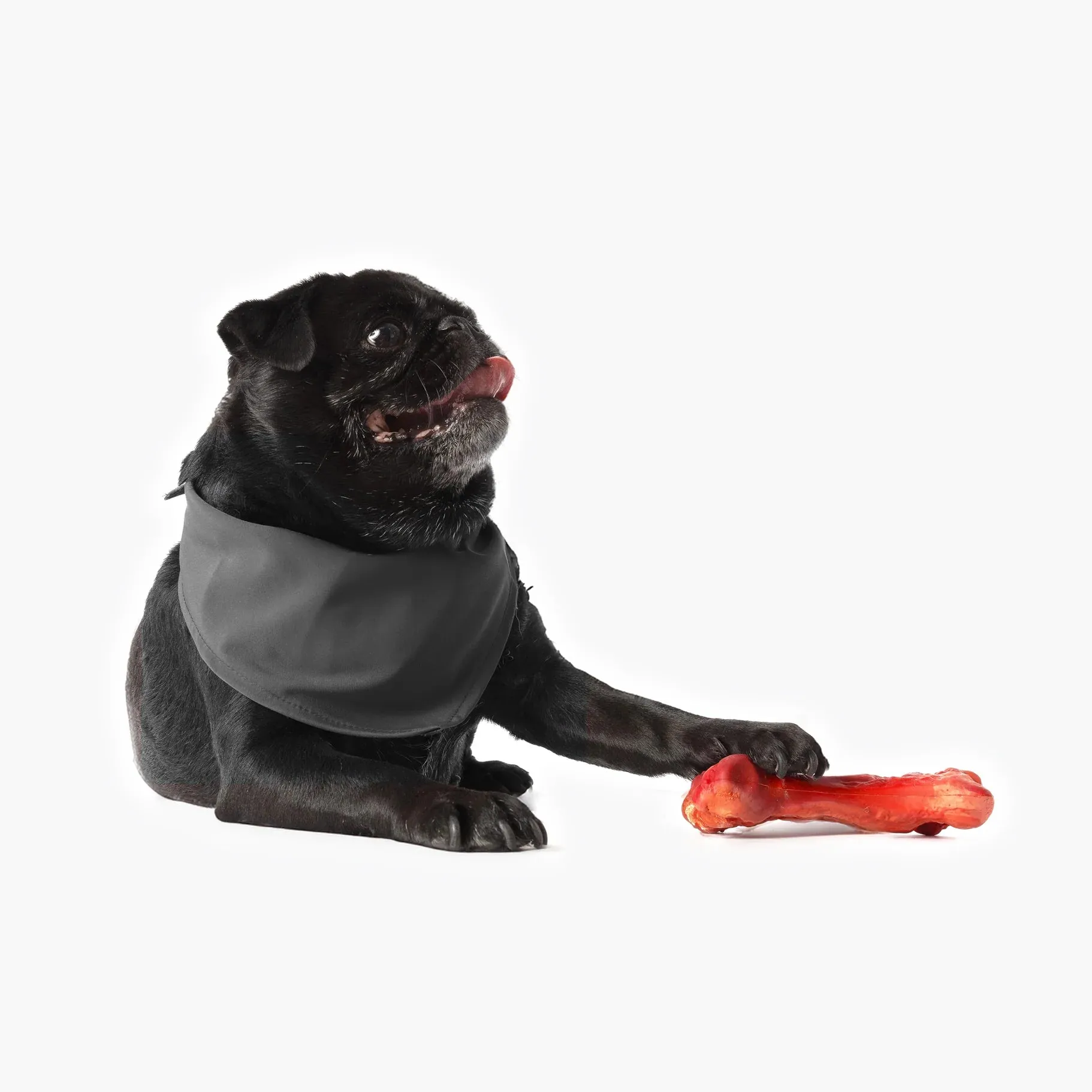 EzyDog Ezy Bones Beef Infused Dog Toy Large