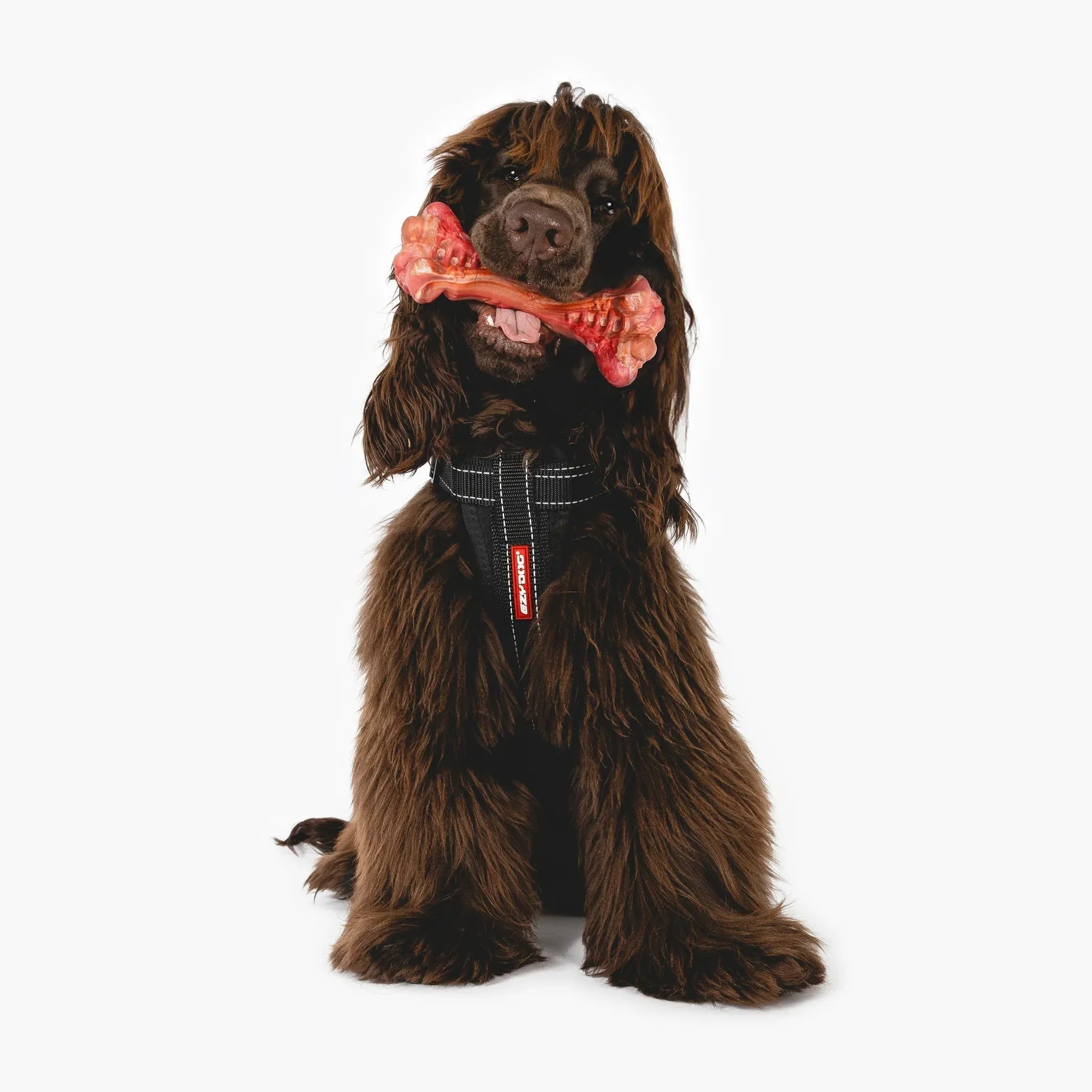 EzyDog Ezy Bones Beef Infused Dog Toy Large