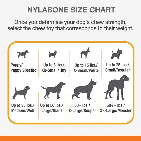 Nylabone DuraChew Textured Chicken Bone