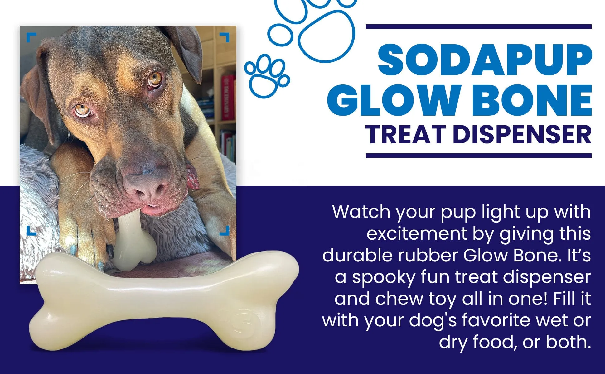 PUP-X Synthetic Rubber Chewing & Floating Bone Toy - Glow in the Dark