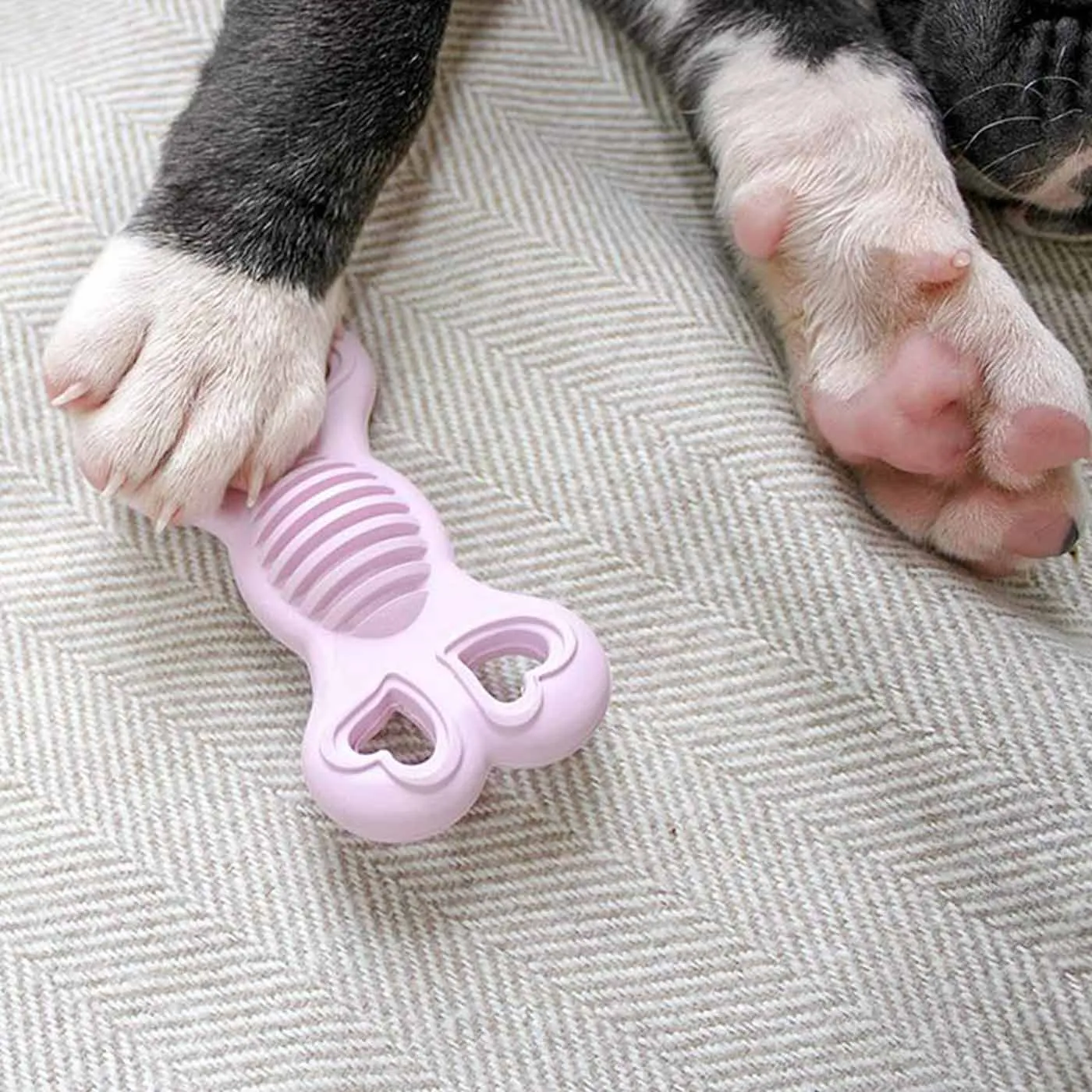Puppy Rubber Teether Dental Assorted Toy
