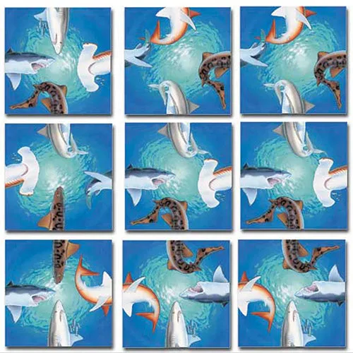 Sharks Puzzle