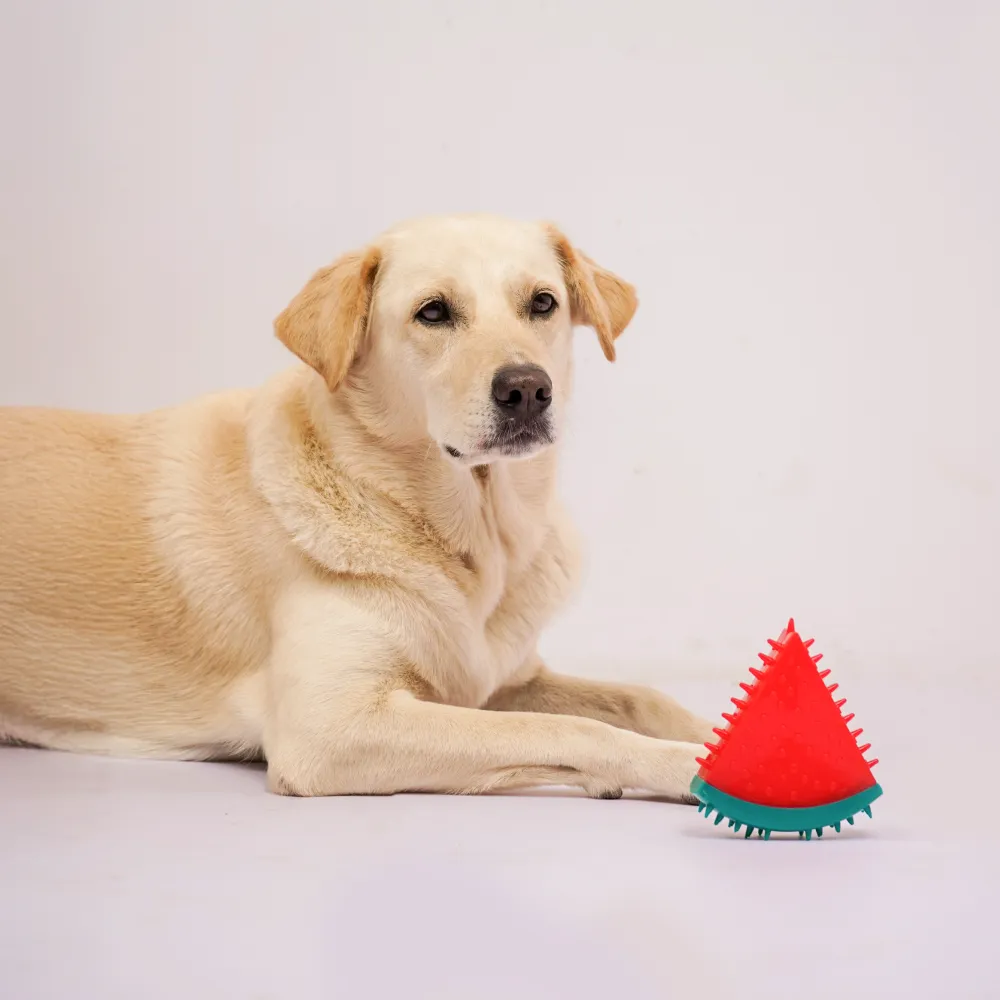 Skatrs Watermelon Shaped Ice Cooling Toy for Dogs & Cats (Green/Red)
