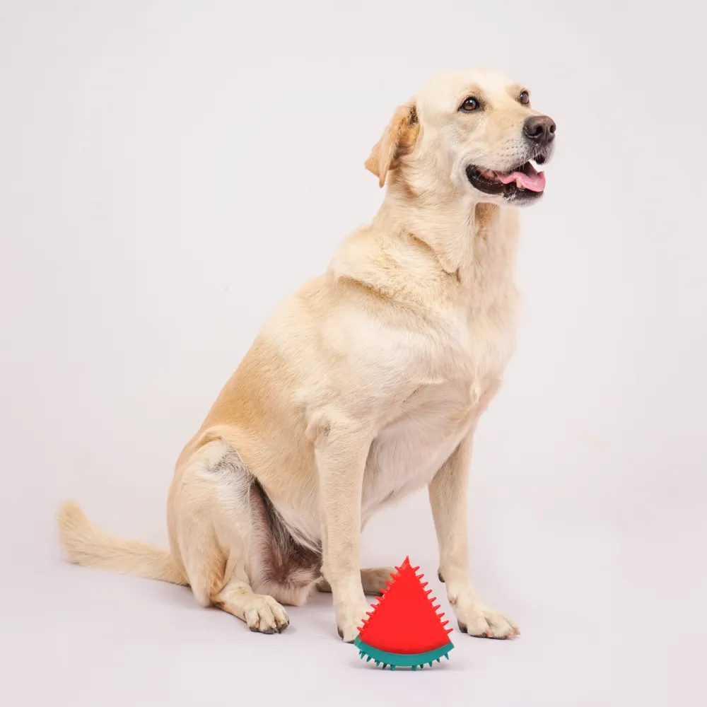 Skatrs Watermelon Shaped Ice Cooling Toy for Dogs & Cats (Green/Red)